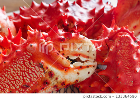 Hanasaki蟹 Hanasaki蟹 133364580