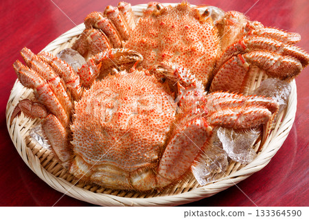 發蟹 133364590