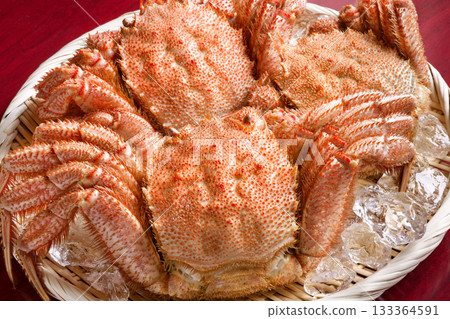 Hair crab Hair crab 133364591