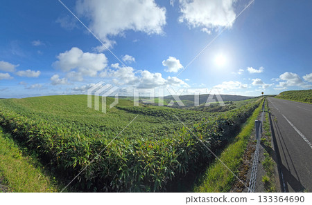 A beautiful landscape showcases a winding road, perfect for travel and adventure, with rolling hills and a vibrant sky A beautiful landscape showcases a winding road, perfect for travel and adventure, with rolling hills and a vibrant sky 133364690