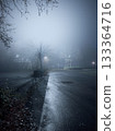 Moody Foggy Night Park Path With Misty Lights and Wet Pavement in Quiet Autumn Park 133364716