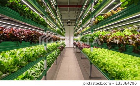 City tunnel construction and railway station architecture with surrounding plant life and greenhouse structure in an urban garden City tunnel construction and railway station architecture with surrounding plant life and greenhouse structure in an urban garden 133364790