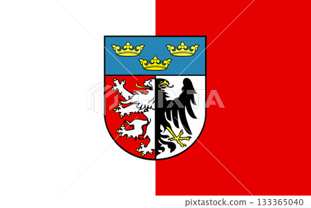 Flag of Pabyanytsky District 133365040