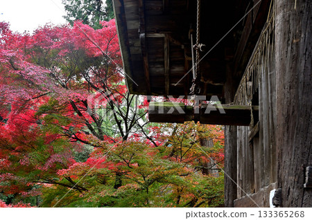 Mii-dera Temple: Mii's Evening Bell Mii-dera Temple: Mii's Evening Bell 133365268