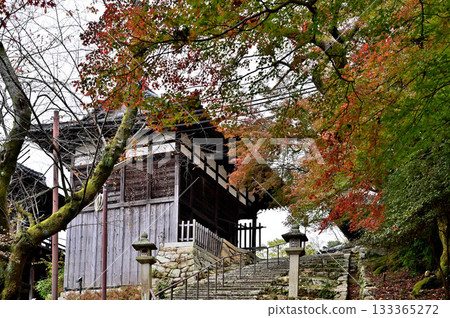 Mii-dera Temple grounds 133365272