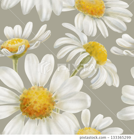 Chamomile flowers seamless pattern Delicate watercolor illustration symbolizing purity and innocence.For baby products,wedding invitations,packaging tea design,and spring-themed creative projects Chamomile flowers seamless pattern Delicate watercolor illustration symbolizing purity and innocence.For baby products,wedding invitations,packaging tea design,and spring-themed creative projects 133365299