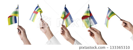 The Central African Republic flag in hand in different angles on a white background 133365310