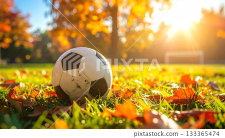 A black and white soccer ball rests on the green grass of a sports field, ready for a game A black and white soccer ball rests on the green grass of a sports field, ready for a game 133365474