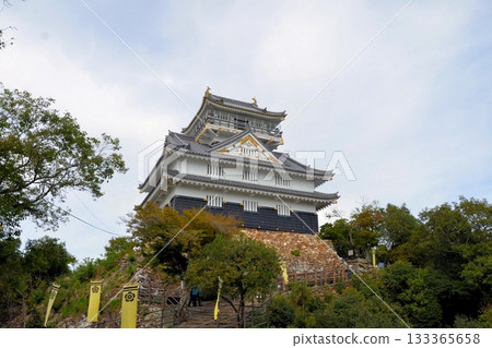 岐阜城堡城堡塔 岐阜城堡城堡塔 133365658