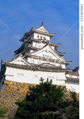 Himeji Castle: Castle Tower and Obi Tower 133365661