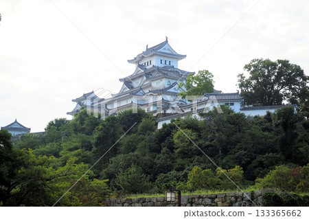 Himeji Castle castle tower 133365662