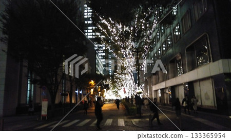Tokyo Illumination Tokyo Illumination 133365954