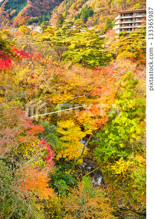 栃木縣日光市鬼怒川溫泉秋葉染紅的景色 133365987