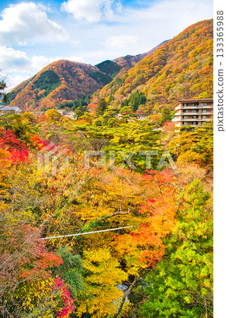 栃木縣日光市鬼怒川溫泉秋葉染紅的景色 133365988