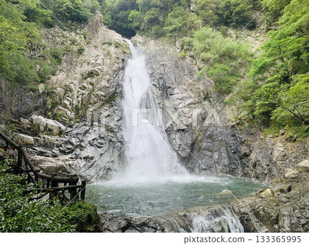 Nunobiki Falls surrounded by fresh greenery Nunobiki Falls surrounded by fresh greenery 133365995