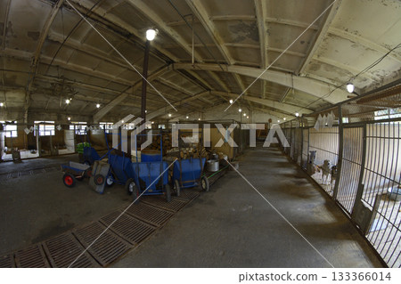 Animal shelter: hangar with row of indoor aviaries, stray dogs standing behind bars, carts firewood for heating and cast-iron moveable wood stove Animal shelter: hangar with row of indoor aviaries, stray dogs standing behind bars, carts firewood for heating and cast-iron moveable wood stove 133366014