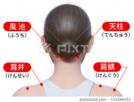 緩解肩頸僵硬的穴位按摩、頭部穴位按摩、反射區示意圖、上身背部視圖 133366052