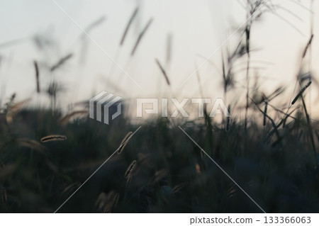 河床的風景 133366063