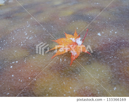 秋葉上覆蓋著冰霜 秋葉上覆蓋著冰霜 133366169