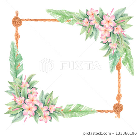 Tropical plumeria rope frame illustration. Frangipani floral border isolated on white 133366190