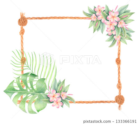 Tropical plumeria rope frame illustration. Frangipani, monstera and palm leaves floral border isolated on white 133366191