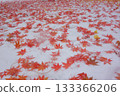 Autumn leaves spreading over the snow 133366206