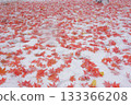Autumn leaves spreading over the snow 133366208