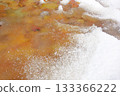 Autumn leaves covered in ice 133366222