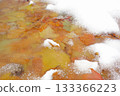 Autumn leaves covered in ice 133366223