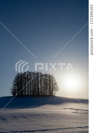 卡拉松森林和白雪皚皚的山丘上的日落 133366265