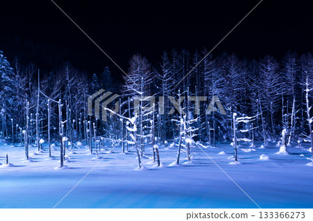 Illuminated winter blue pond Biei Town 133366273