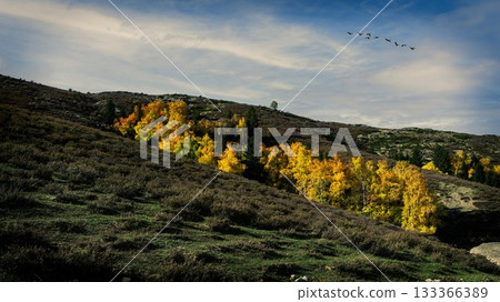 中国新疆阿勒泰风景 中国新疆阿勒泰风景 133366389