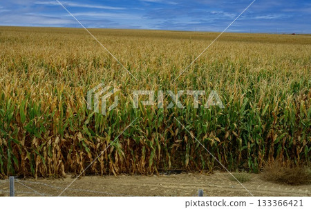 中国新疆阿勒泰风景 中国新疆阿勒泰风景 133366421