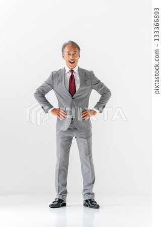 Businessman portrait, full body, standing with legs apart Businessman portrait, full body, standing with legs apart 133366893