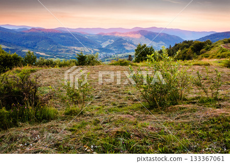 morning landscape of ukraine mountains in summer. rural valley at sunrise. beauty of carpathian countryside. organic hay field green environment concept. stunning place in uzhanian national park 133367061