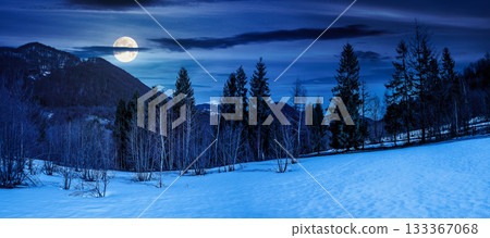 snow covered slope with forest in springtime at night. beautiful panorama of mountainous countryside landscape in full moon light. birch and spruce trees. backdrop for fiction art or mystery concepts snow covered slope with forest in springtime at night. beautiful panorama of mountainous countryside landscape in full moon light. birch and spruce trees. backdrop for fiction art or mystery concepts 133367068