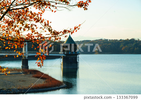 Lake Sayama's water intake tower and autumn leaves in the evening 133367099