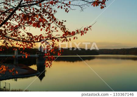 Lake Sayama's water intake tower and autumn leaves in the evening Lake Sayama's water intake tower and autumn leaves in the evening 133367146