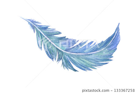Watercolor blue green bird feather illustration on isolated background. Hand painted colored fluffy bird plume. Natural element for carnival mask decor, dreamcatcher, ethnic design, Easter card. Watercolor blue green bird feather illustration on isolated background. Hand painted colored fluffy bird plume. Natural element for carnival mask decor, dreamcatcher, ethnic design, Easter card. 133367258