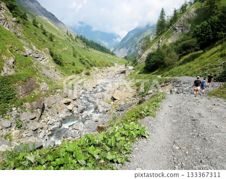 Highlights of the Weisstannen: Walking through Bateni (Canton of St. Gallen, Switzerland) Highlights of the Weisstannen: Walking through Bateni (Canton of St. Gallen, Switzerland) 133367311