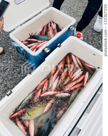 古爾昆魚捕撈 133367350