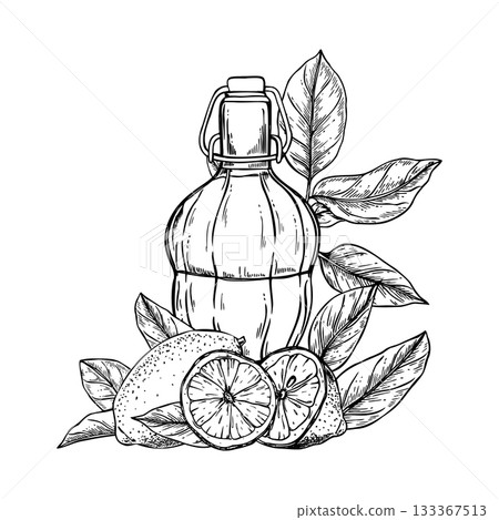 Limoncello or tequila bottle, lime slice with leaves vector line black and white ink illustration. Aperitif drinking set with refreshing sour fruits. For Italian or Mexican alcohol decor, poster 133367513