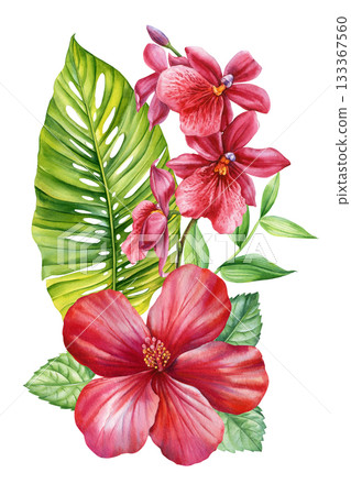Red orchid and hibiscus flowers with tropical green leaves watercolor exotic floral arrangement for summer design and decor Red orchid and hibiscus flowers with tropical green leaves watercolor exotic floral arrangement for summer design and decor 133367560