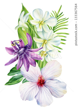 Tropical watercolor bouquet with passionflower orchids and hibiscus for exotic floral botanical design 133367564