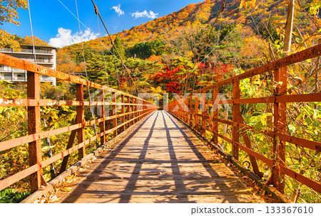 鬼怒川溫泉和瀧見橋，秋葉染成一片絢麗，位於栃木縣日光市 133367610