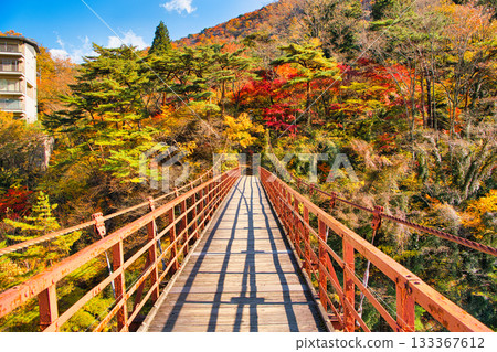 鬼怒川溫泉和瀧見橋，秋葉染成一片絢麗，位於栃木縣日光市 133367612