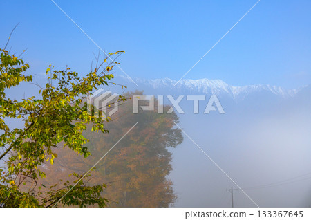 Morning mist and snow-capped Northern Alps [Ikeda Town, Kitaazumi District] 133367645