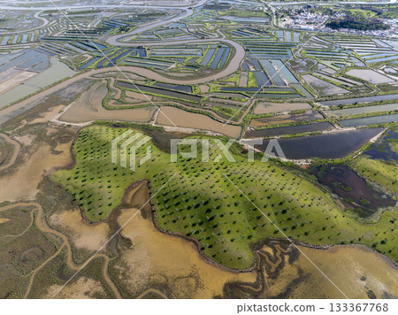 Flooded farming fields in Portugal, Aerial Landscare of Irrigated Agriculture in Europe. Abstract Pattern at Sunny Day 133367768