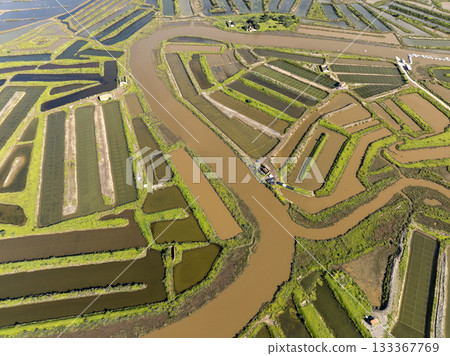 Flooded farming fields in Portugal, Aerial Landscare of Irrigated Agriculture in Europe. Abstract Pattern at Sunny Day 133367769