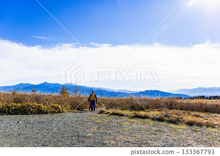 Walking through the pampas grass fields of Kirigamine Plateau 133367791